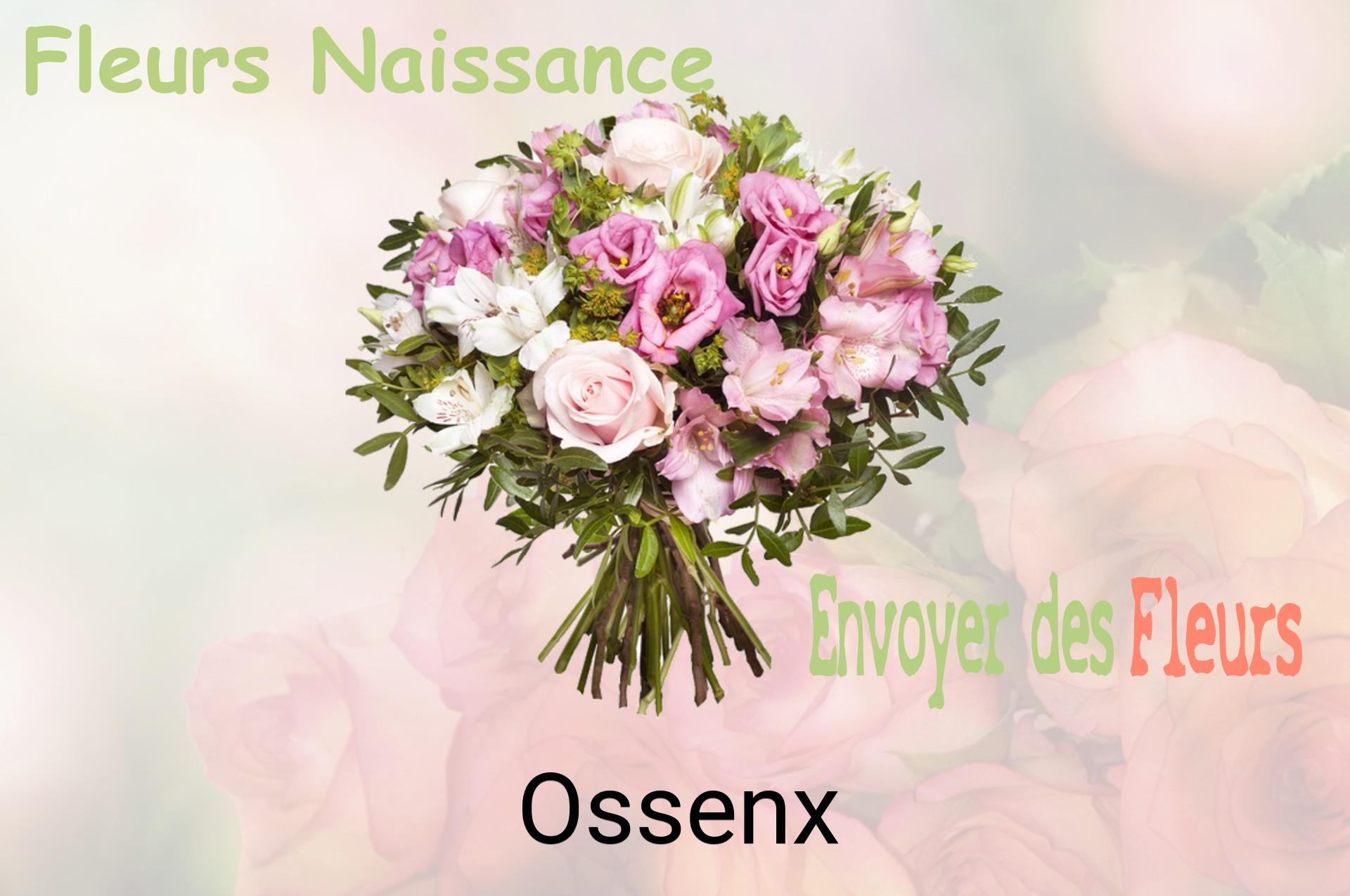 Bouquet de fleurs de naissance livré à Ossenx